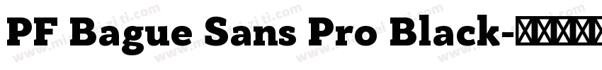 PF Bague Sans Pro Black字体转换